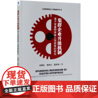 集群企业升级机制(基于双重网络嵌入观视角的研究)/工商管
