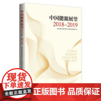 中国能源展望2018—2019