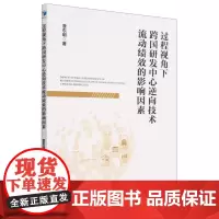 过程视角下跨国研发中心逆向技术流动绩效的影响因素