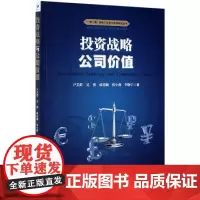 投资战略与公司价值/一带一路背景下投资与风险研究丛书