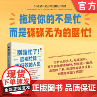 正版 别瞎忙了!告别忙碌而低效的人生 爱丽丝·博伊斯 效率 高效能 生产力 拖延症 压力 时间管理 个性化 定制系统