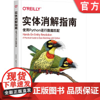 正版 实体消解指南:使用Python进行数据匹配 Michael Shearer Splink工具主要作者 实体消解