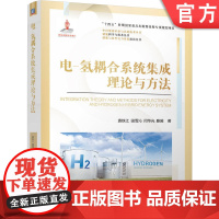 电-氢耦合系统集成理论与方法 袁铁江 田雪沁 闫华光 滕越 清洁能源 高压储氢 加氢技术 能源集成 碳中和 可