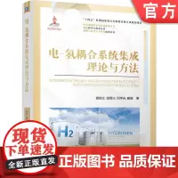 电-氢耦合系统集成理论与方法 袁铁江 田雪沁 闫华光 滕越 清洁能源 高压储氢 加氢技术 能源集成 碳中和 可