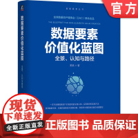 正版 数据要素价值化蓝图:全景、认知与路径 史凯 著 凯捷咨询前亚太区副总裁撰写 数据资产 公共数据 数据治理 数据