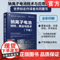 钠离子电池:材料、表征与技术(下卷) 玛拉-马格达莱纳·蒂廷斯 锂资源不足 新能源行业 负极材料 石墨 硬碳