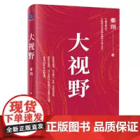 大视野