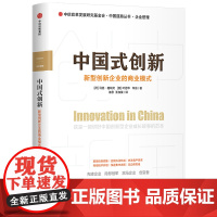中国式创新(新型创新企业的商业模式)/中国道路丛书