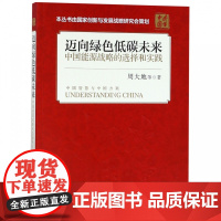 迈向绿色低碳未来(中国能源战略的选择和实践)/读懂中国