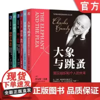 套装 空雨衣 个人与组织的精准定位+成长第二曲线+拥抱不确定性+非理性时代+大象与跳蚤 套装全4册 查尔斯汉迪 企业