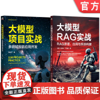 套装 大模型项目实战 多领域智能应用开发+大模型RAG实战 RAG原理 应用与系统构建 套装全2册 AI大模型与RA