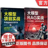 套装 大模型项目实战 多领域智能应用开发+大模型RAG实战 RAG原理 应用与系统构建 套装全2册 AI大模型与RA