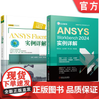 套装 ANSYS Workbench 2024 Fluent 实例详解 套装共2册 建模、前处理、网格划分、后处理、