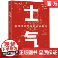 正版 士气:情感经济时代的组织管理 张捷 领导力 AI 情感 情绪 情感经济 情绪成本 996 IBM 联想 华为
