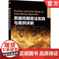 正版 数据挖掘算法实践与案例详解 丁兆云 沈大勇 徐伟 周鋆 9787111760696 机械工业出版社