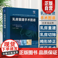 乳房重建手术图谱 杜正贵主译 创新乳房重建技术自体组织植入物假体乳房重建整形乳腺外科医生乳房重建手术工具书 zy