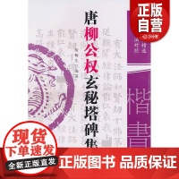 [正版]唐柳公权玄秘塔碑集联名家碑帖精选古今书法对照胡梅生编著黑龙江美术出版社9787207086785 正版书籍