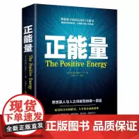 正版 正能量 湖南文艺出版社 (英)理查德.怀斯曼 坚持正能量 人生不畏惧 传递正能量的心灵成长之书