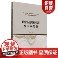 [正版]欧洲战略问题及中欧关系 冯仲平著 外交、国际关系 中国社会科学出版社正版 中国社会科学出版社zy