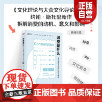 [正版] 消费是什么 : 关于消费主义的社会学研究(一本书告诉你为什么买买买之后也有巨大空虚感)zy