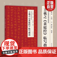 正版中国历代经典碑帖临写指南系列 王羲之黄庭经临写指南 河南美术社 毛笔软笔初学者楷书练字帖 中国历代经典碑帖临写指南教