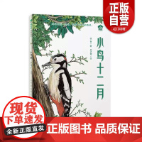 [正版]小鸟十二月(魔法象·故事森林·小书房)每月邂逅一种鸟 领略大自然的奇妙 广西师范大学出版社