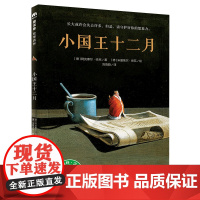 小国十二月 魔法象张祖庆书籍小学生一二三年级四五六年级课外阅读书籍童话故事书书儿童文学睡前故事书