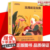 魔法象·阅读雪园·童书新乐园:玫瑰就是玫瑰匙河9787559815477广西师范大学出版社考研(新)