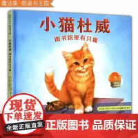 [正版]魔法象图画书王国小猫杜威-图书馆里有只猫(精装绘本) 9787559816658布赖特维特(美)陈诗艺 马玲
