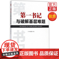 正版书籍 第一书记与破解基层难题 书籍 中共中央党校出版社