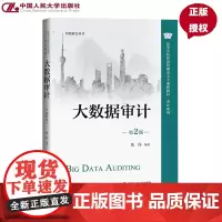 大数据审计 第2版 高等学校经济管理类主干课程教材·审计系列 智能财会丛书 陈伟 中国人民大学出版社 978730033
