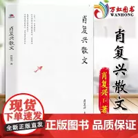 肖复兴散文 肖复兴著 收录花边饺和拥你入睡中小学语文阅读篇目 手绘插图 现当代文学散文精选集名家作品 978755963