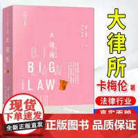 大律所 (美)林赛˙卡梅伦著,孙林、段静译 法律出版社