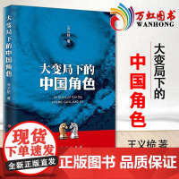 大变局下的中国角色 王义桅著人类只有一个地球各国共处一个世界全球治理的共商共建、共享原则开创天下为公世界大同的人类新文明