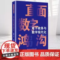 直面数字鸿沟:电子政务与数字现代化 中共中央党校出版