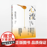 心流 最优体验心理学