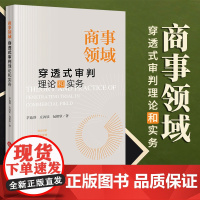 2023新书 商事领域穿透式审判理论和实务 茅迪群 庄鸿钦 包铭欣著 法律出版社