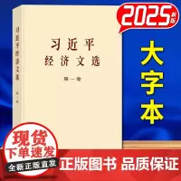 习近平经济文选 第一卷 大字本 中央文献出版社 9787507350807