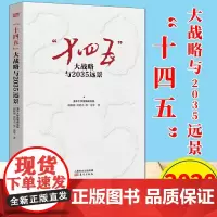 十四五大战略与2035远景 2020新版 东方出版社 9787520716895 十九届五中全会读物 清华大学国情研究院