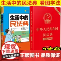 中华人民共和国民法典(含司法解释)大字版+生活中的民法典看图学法 法律常识一本读懂法律常识全套解答日常生活法律十万个为什