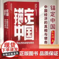 [2025 新书]锚定中国 中国经济的真相与使命 龙白滔著 在深入探究中国经济时所遭遇的一系列困惑等 经济理论书籍 东方