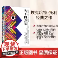 当下的力量(白金版)