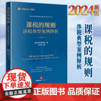 2024新书 课税的规则:涉税典型案例释析 盈科律师事务所编 王桦宇著 法律出版社