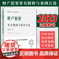 2023新书 财产犯罪罪名精释与案例百选 陈洪兵著 法律出版社
