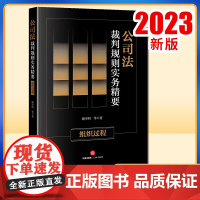 2023新书 公司法裁判规则实务精要:组织过程 潘申明等著 法律出版社