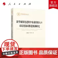 新型城镇化进程中农业转移人口市民化协同推进机制研究(国家社科基金丛书—其他)