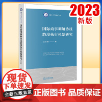 2023新书 国际商事调解协议跨境执行机制研究 王洪根著 法律出版社