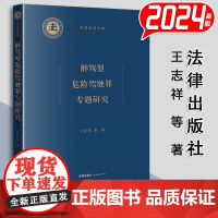 醉驾型危险驾驶罪专题研究 王志祥等著