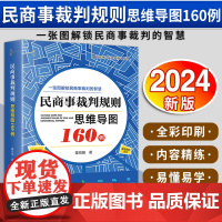[2024 新书]民商事裁判规则思维导图160例(全彩印刷、诉讼可视化) 董向阳著 法律出版社