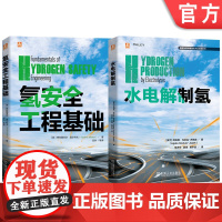 套装 氢能技术及应用图书套装 共2册 氢能 氢安全 燃料电池 工程验证 氢能利用 氢安全问题 机械工业出版社